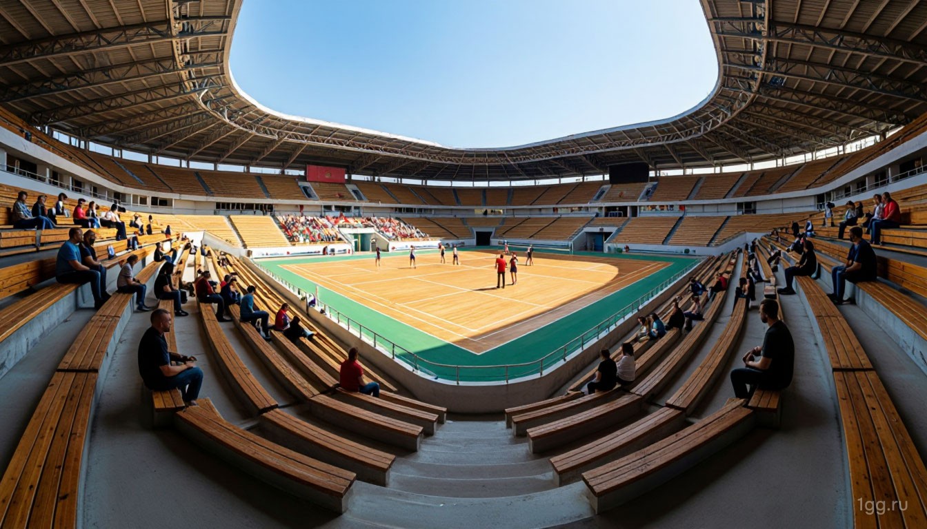 Иллюстрация: Теннис, ATP